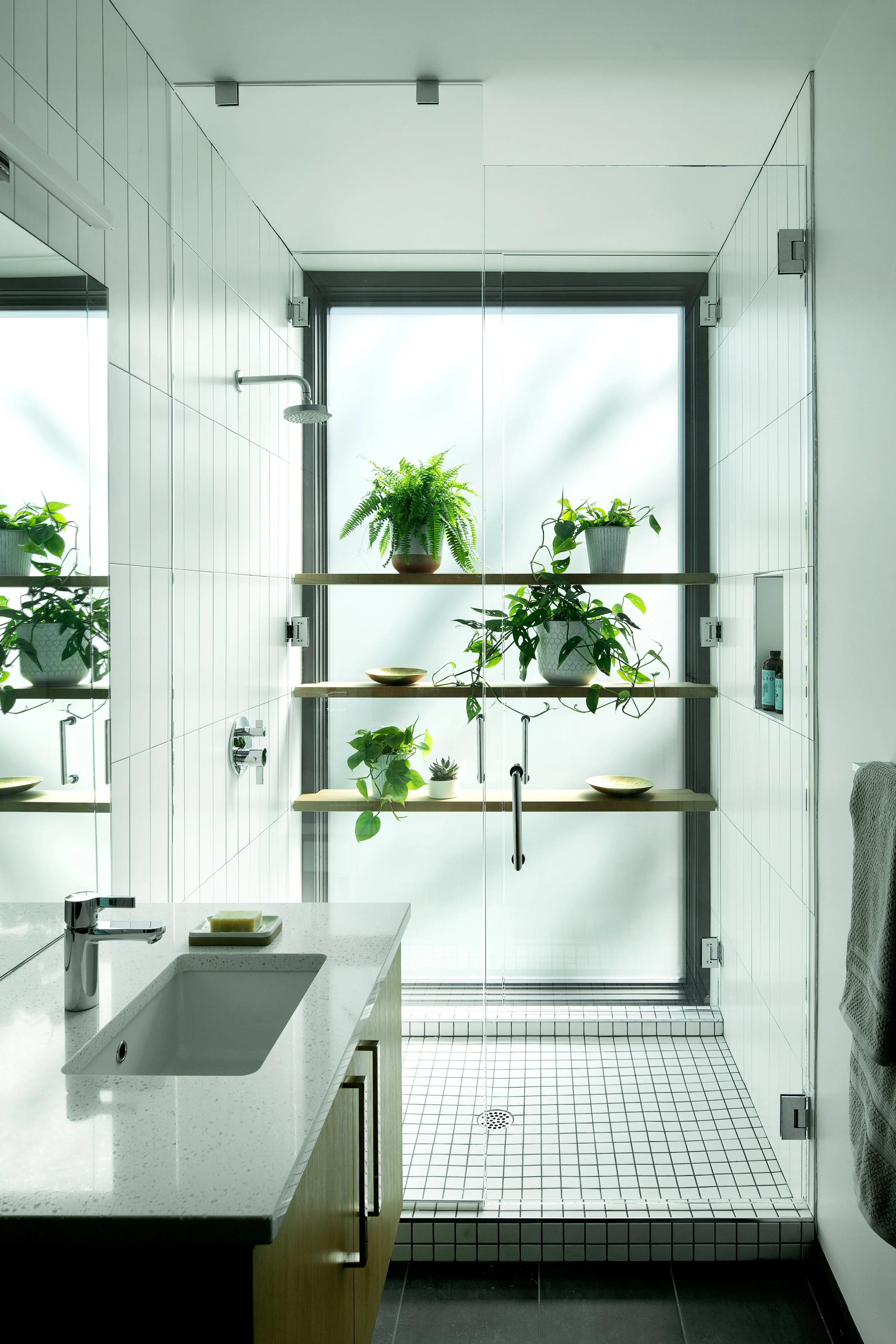 Shower with shelves for plants — William Kaven Architecture