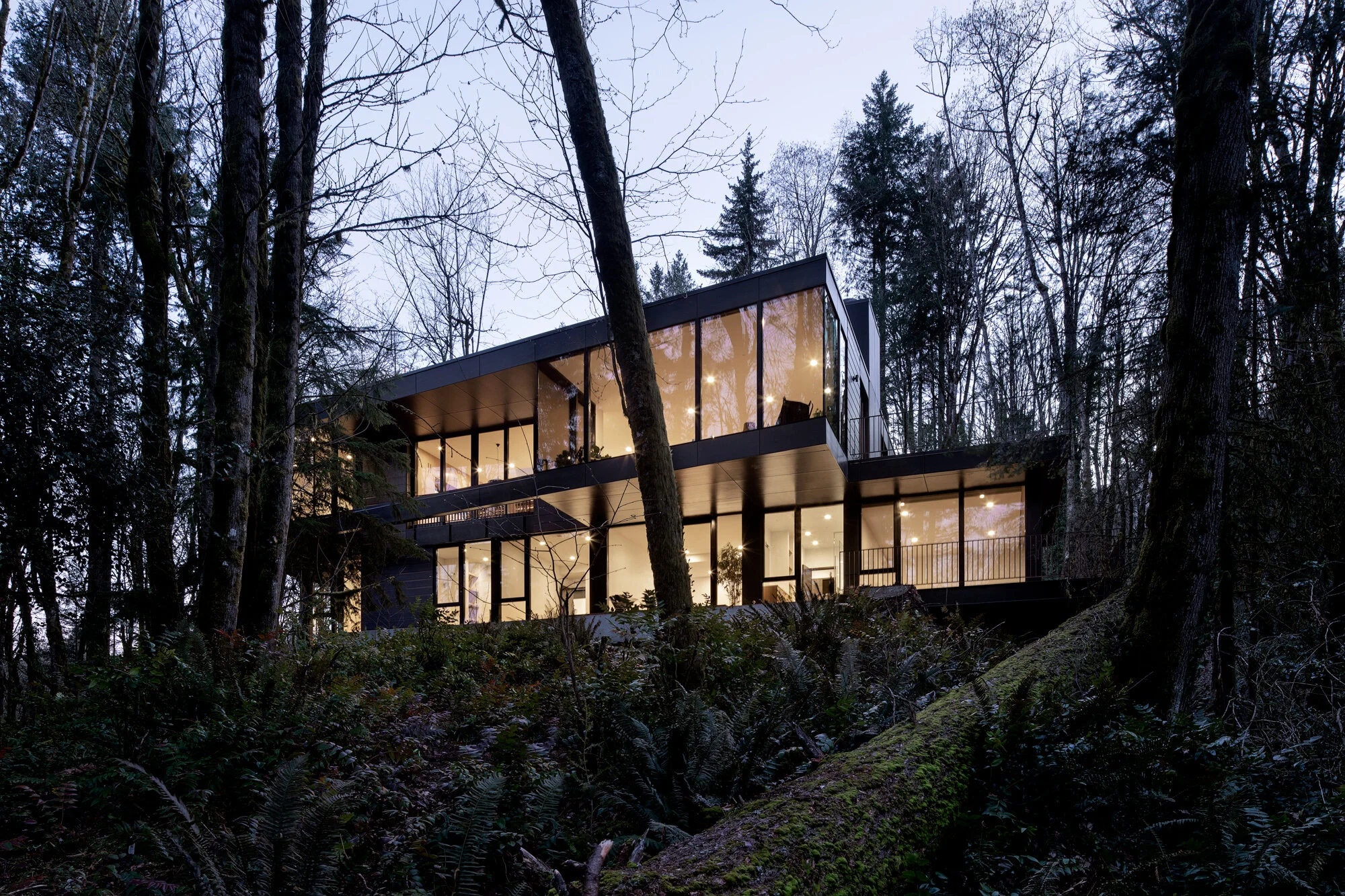Black modern house, view from forest — William Kaven Architecture