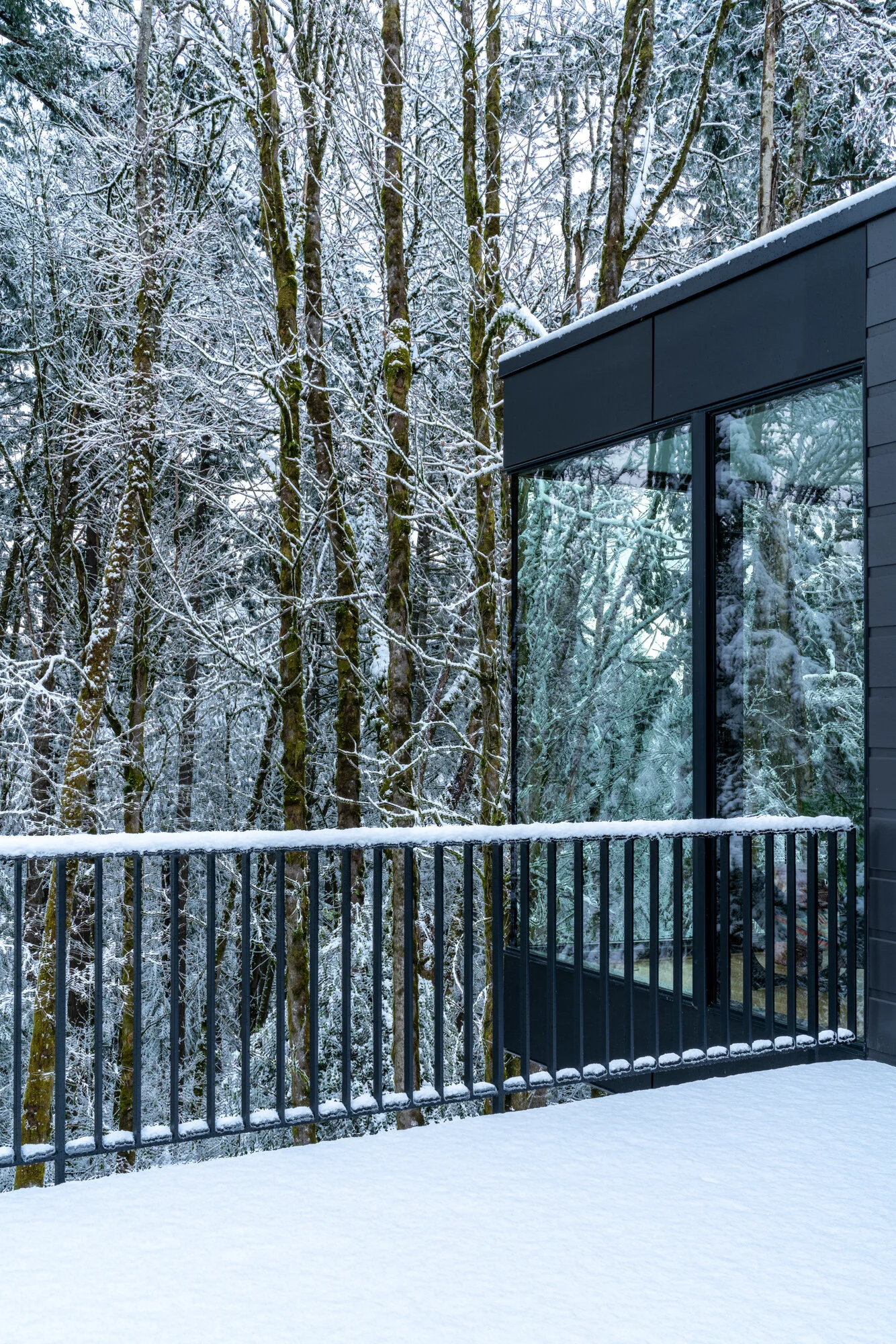 Terrace with railing in snowy forest — William Kaven Architecture