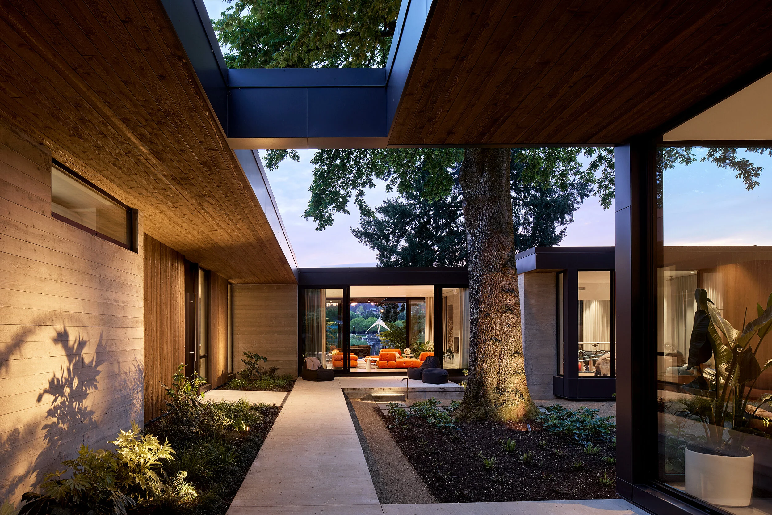 Residential courtyard with oak tree and view into house — William Kaven Architecture