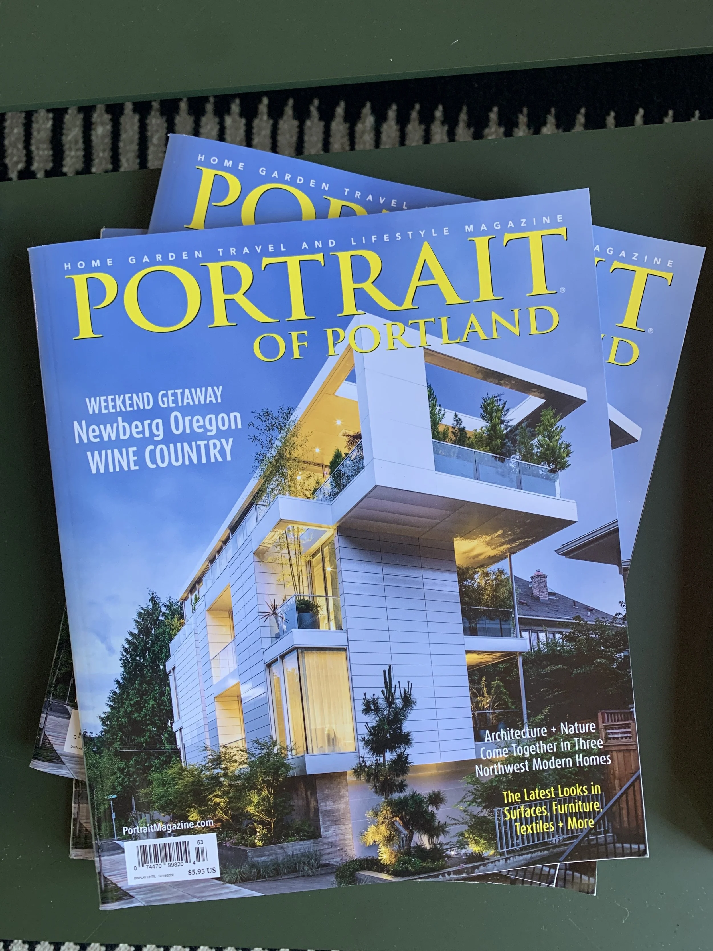 SKYVIEW IN PORTRAIT MAGAZINE