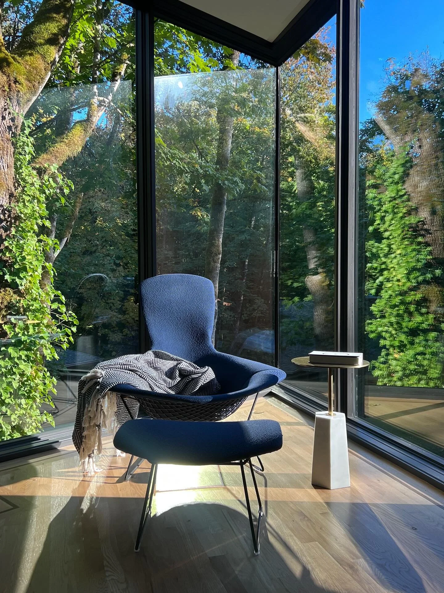 Fall light in our favorite reading nook at Royal III. 📖🍂🪑🍁

#architecture #design #readingchair #readingday #cozy #williamkavenarchitecture #readingcorner #bertoia #fall