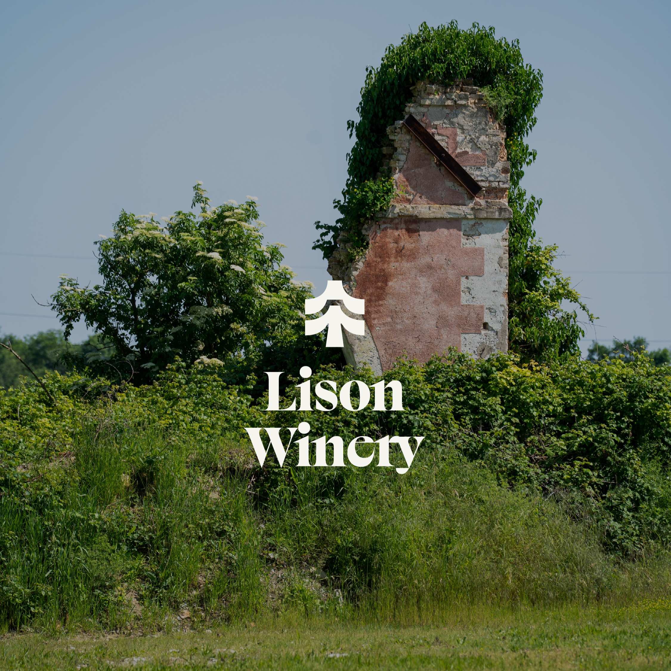 DANIEL KAVEN INVITED TO JUDGE 2026 TERRAVIVA COMPETITION: LISON WINERY