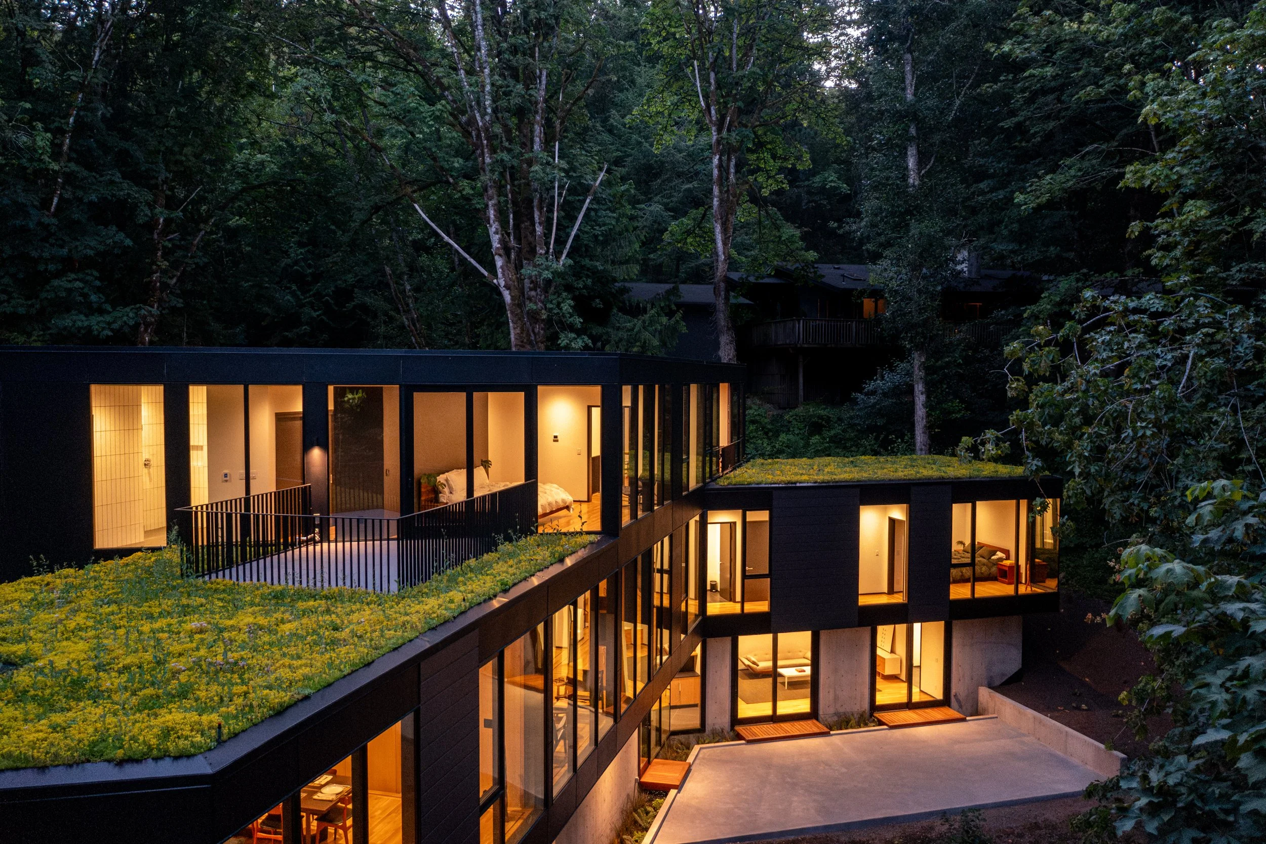 Modern house with green roof — William Kaven Architecture