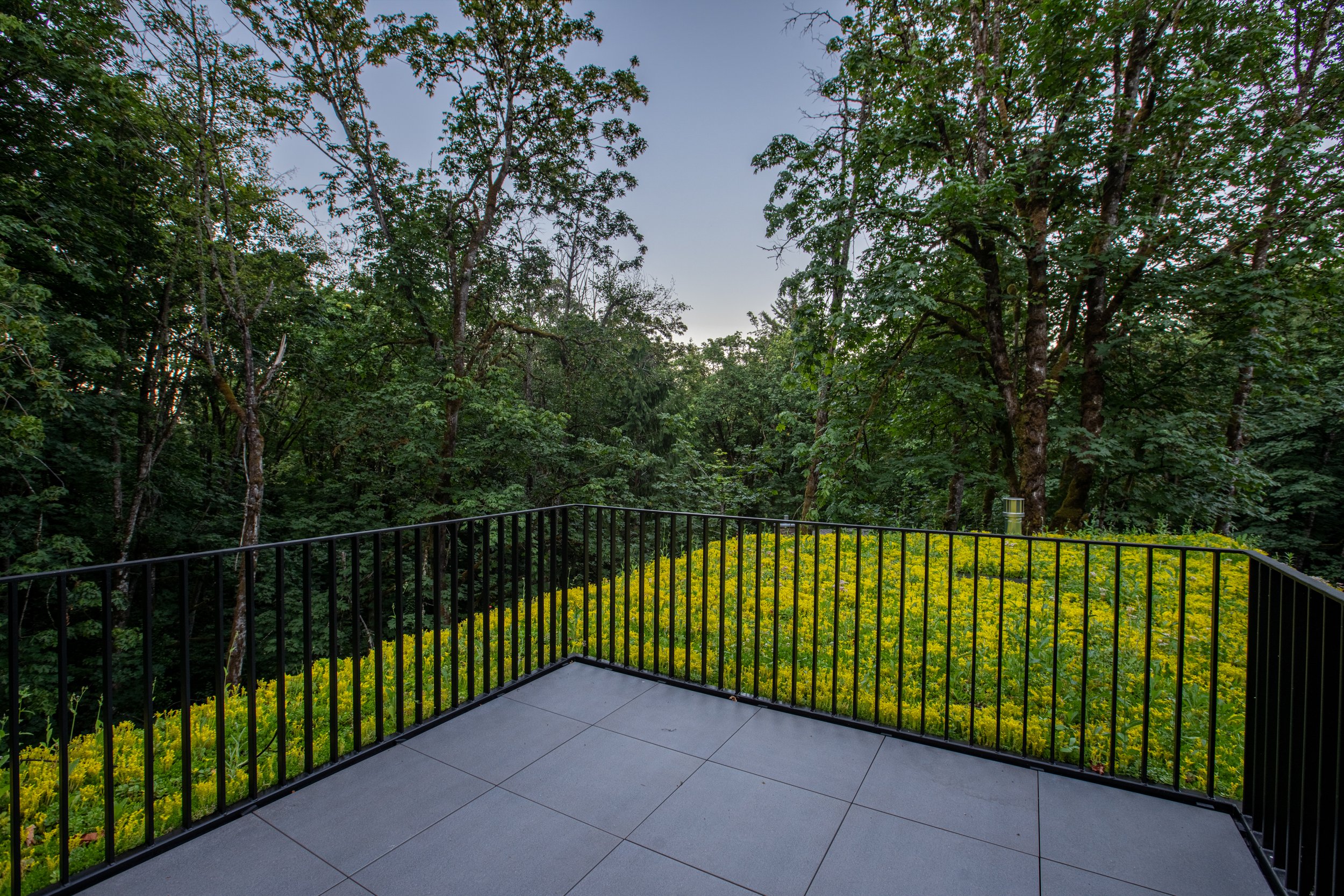 Terrace with green roof — William Kaven Architecture