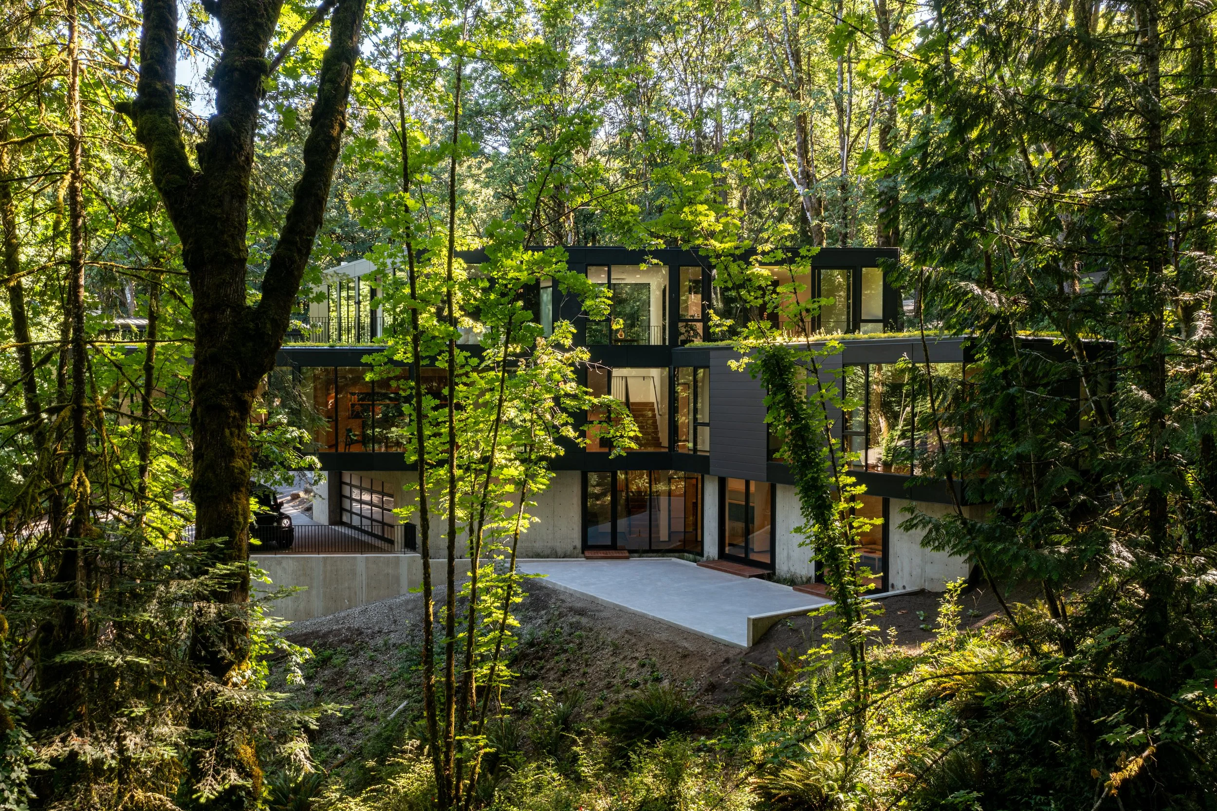 Modern house in forest — William Kaven Architecture