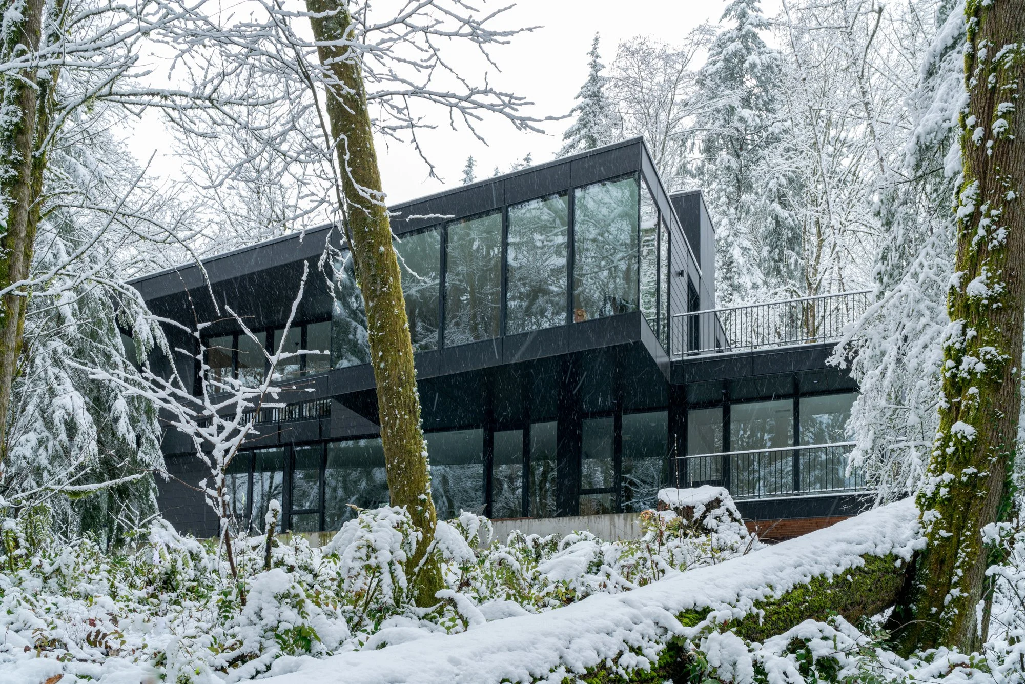 Black modern house in snowy forest — William Kaven Architecture