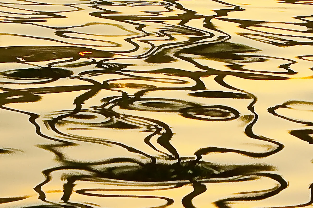 Galactic Swirl: Gold and Black Merge in a Cosmic Dance, Evoking a Stellar Black Hole
