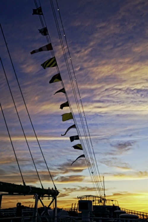 Bow of the Queen