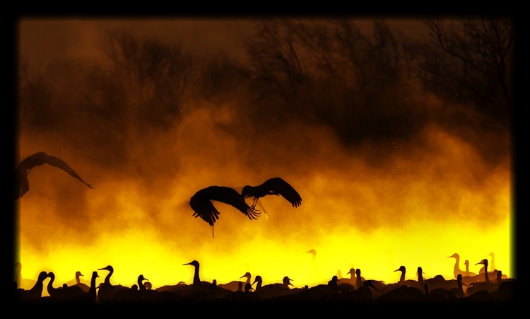 Into the Inferno