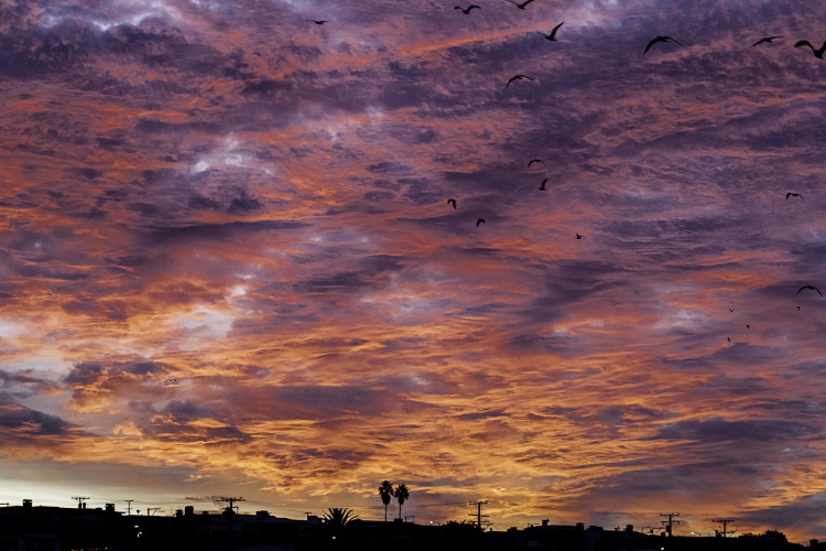 Manhattan Beach Morning