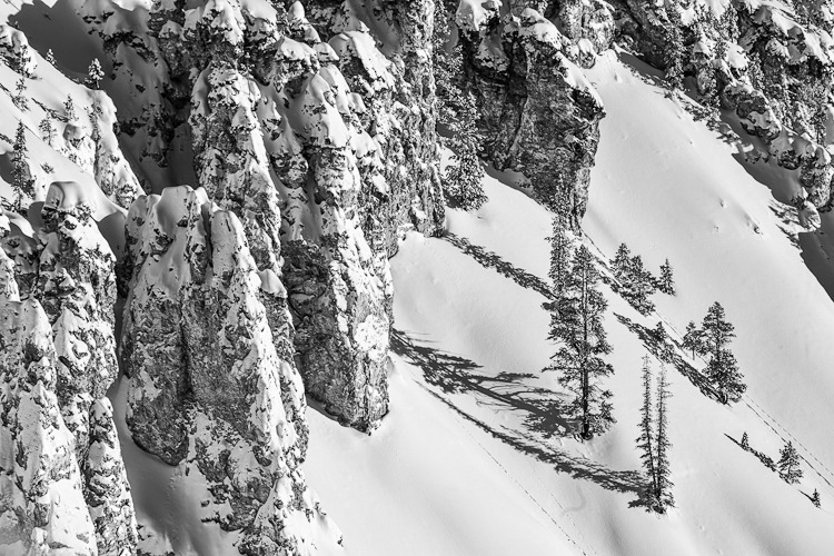 Solitary Trees