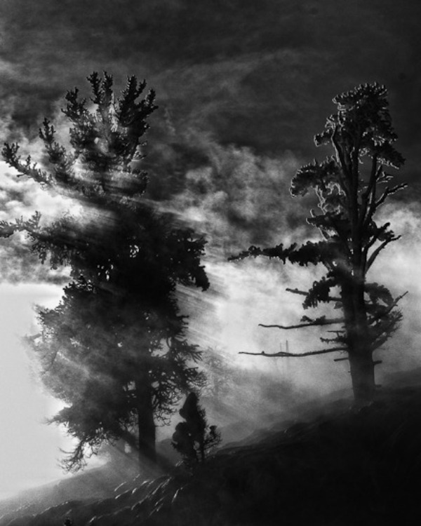 mist1
