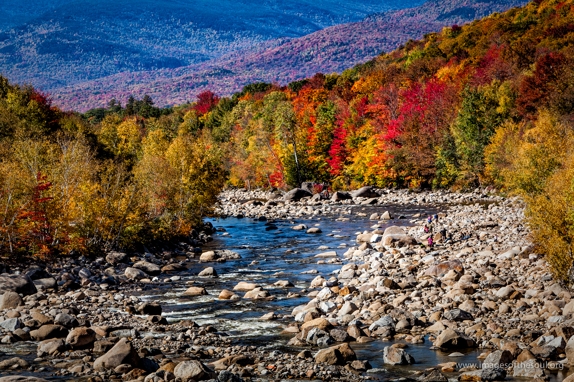 fall_colors-4.jpg