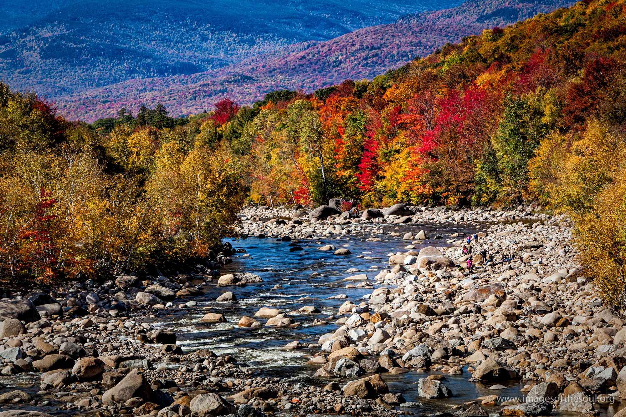 fall_colors-4.jpg