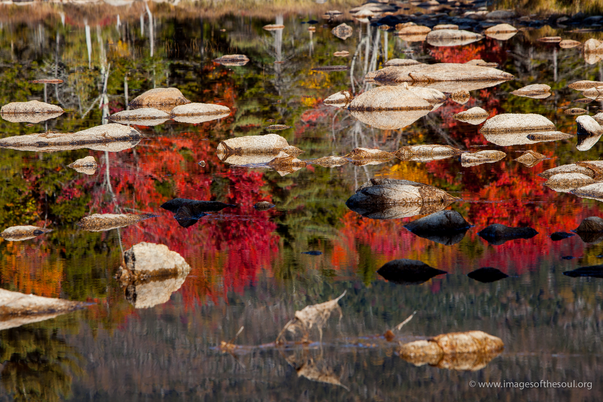 Reflections III