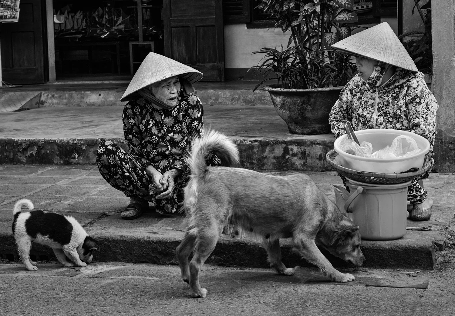street vendor
