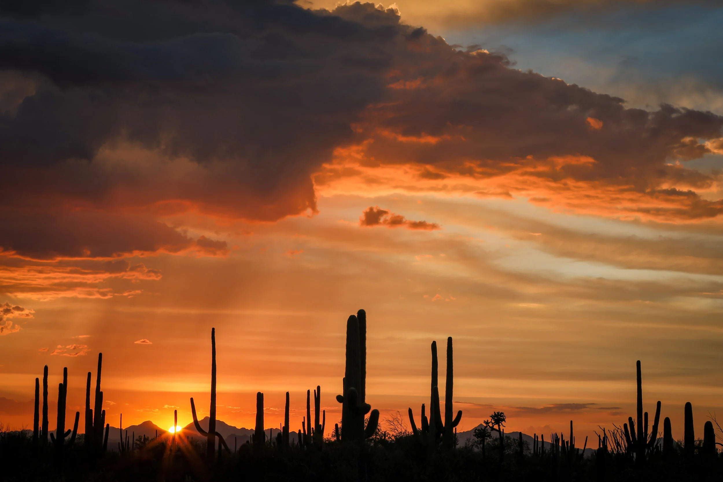 tucson_sunset-2.jpg
