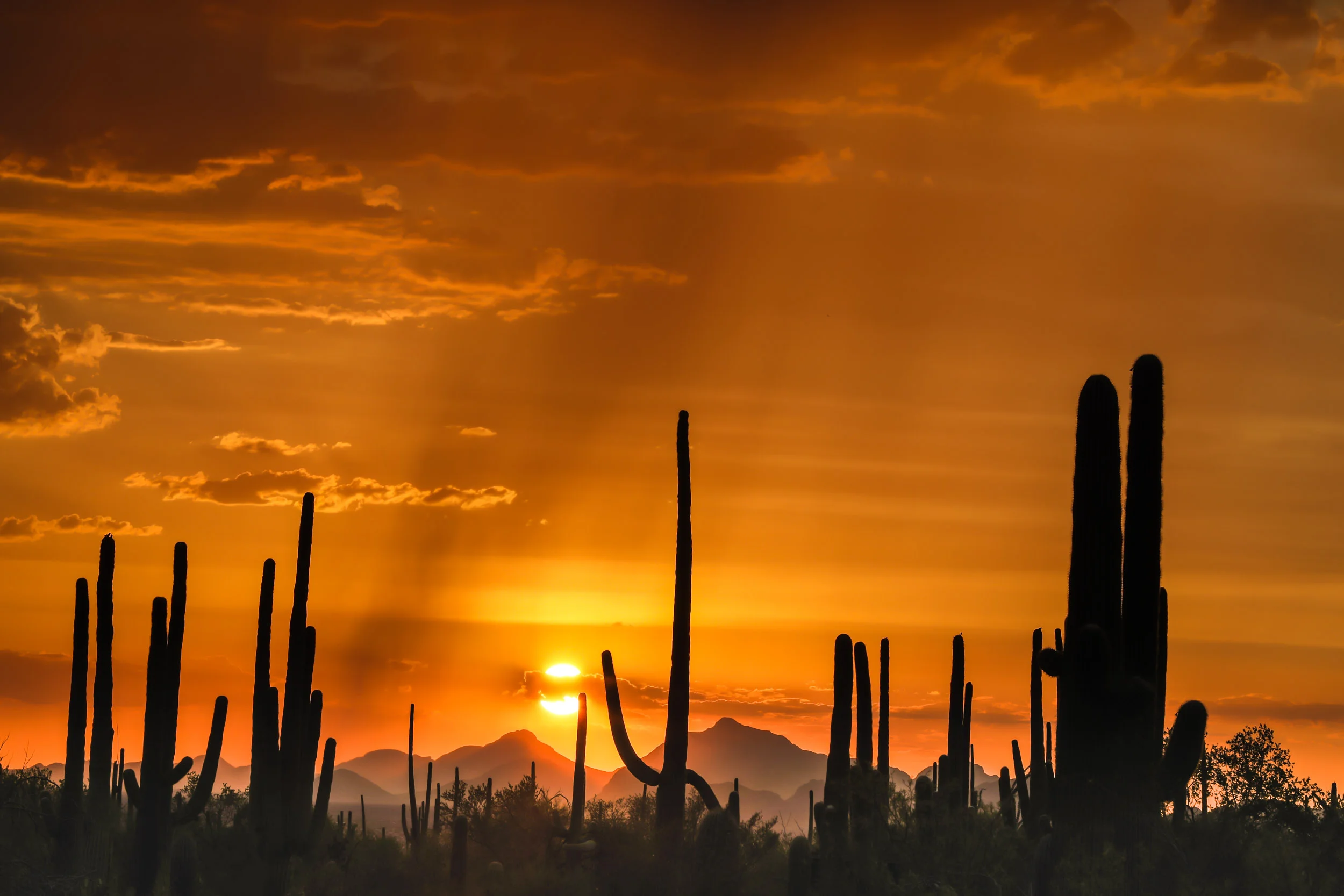tucson_sunset.jpg