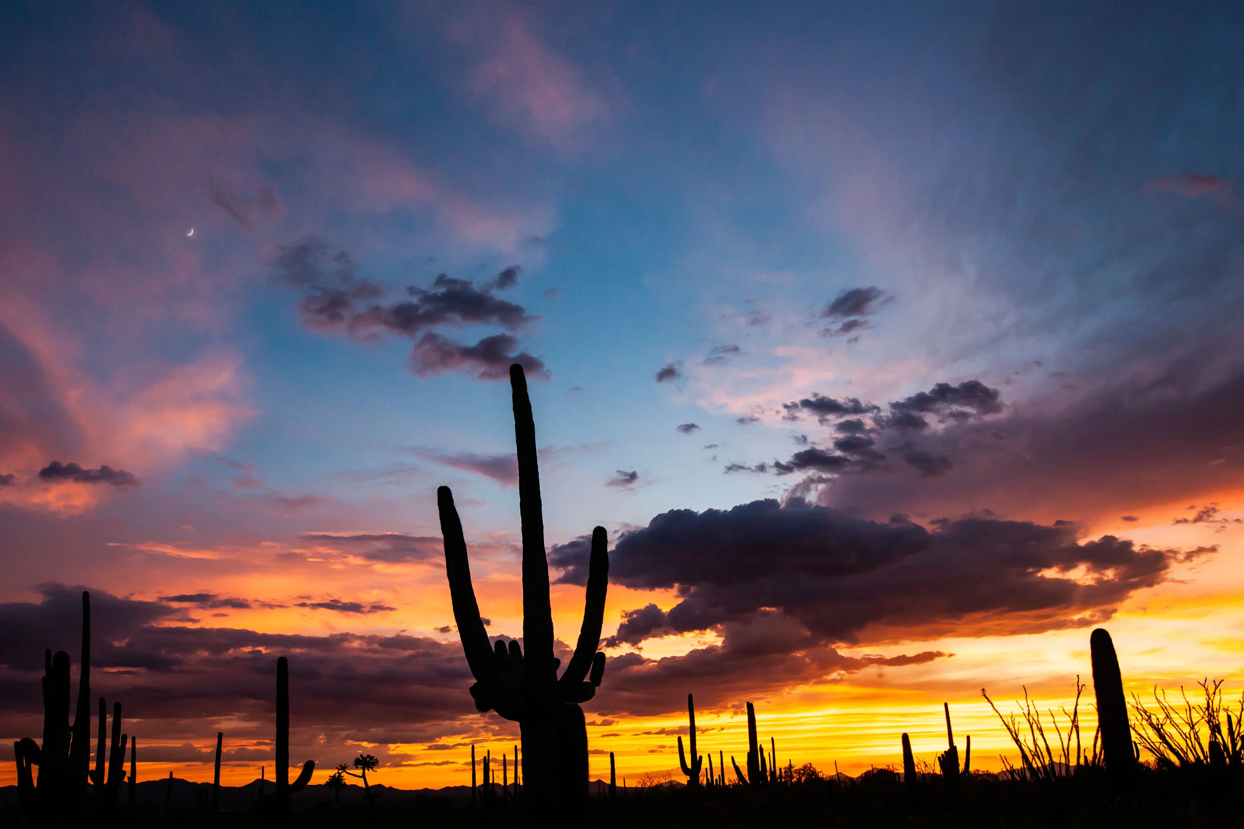 tucson_sunset-4.jpg