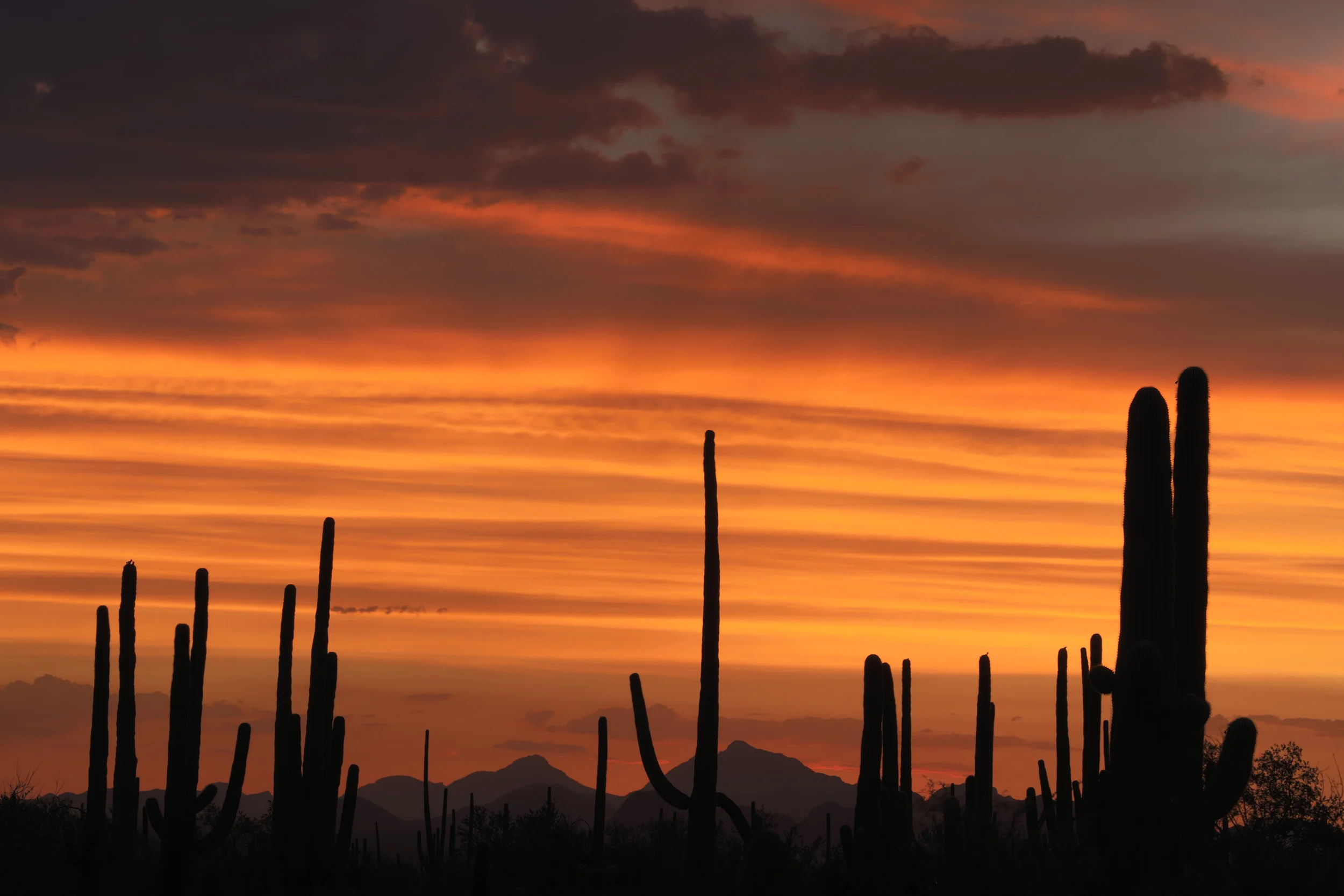 tucson_sunset-5.jpg
