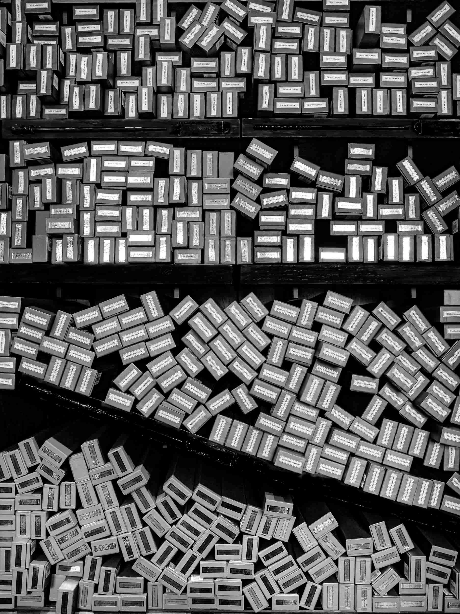 Enigmatic Shelves of Magic: Harry Potter's World in Monochrome