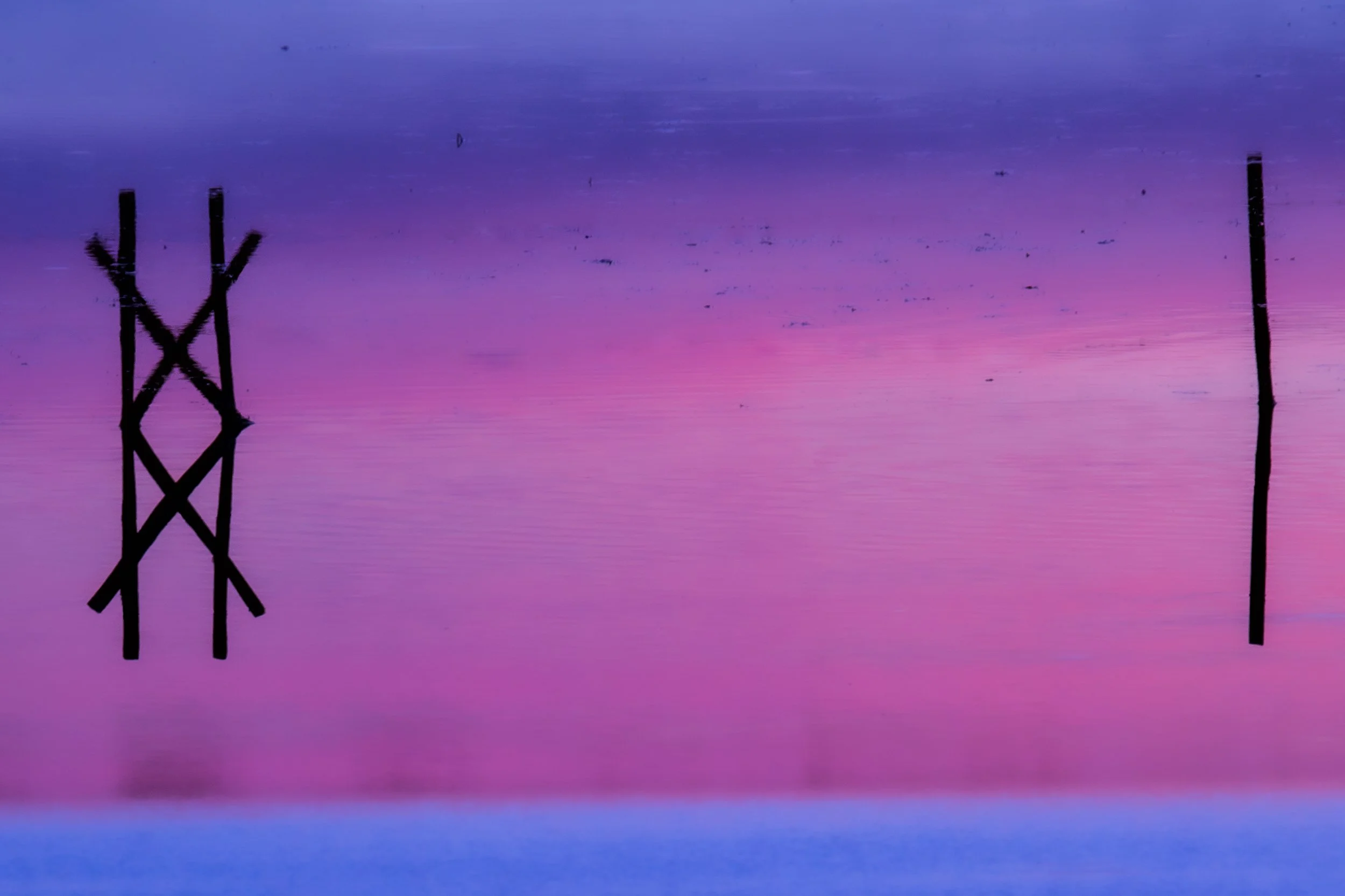 Chromatic Drift: Blue and Pink Hues Embrace Dark Floating Forms in Abstract Harmony