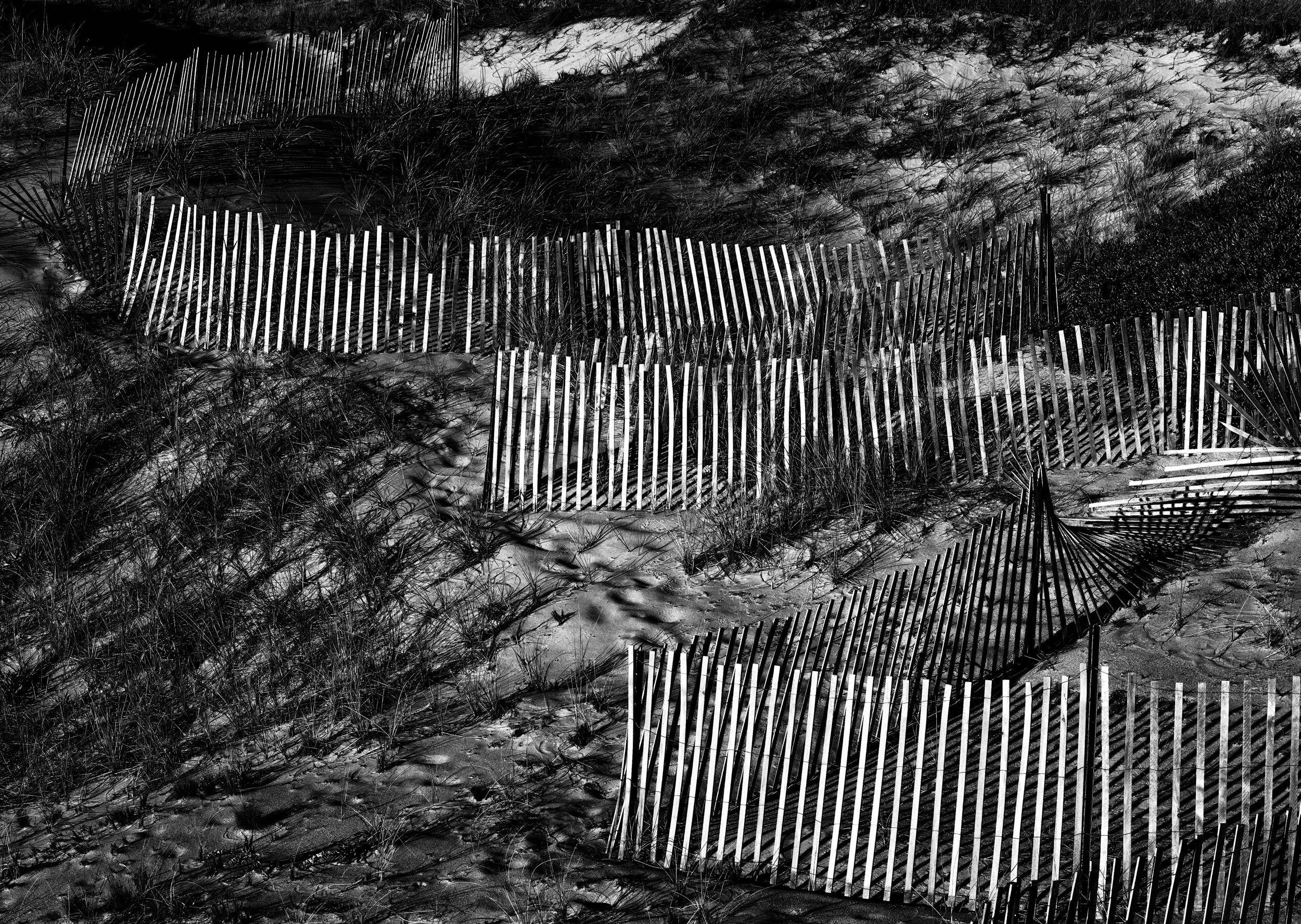 The_Fence.jpg