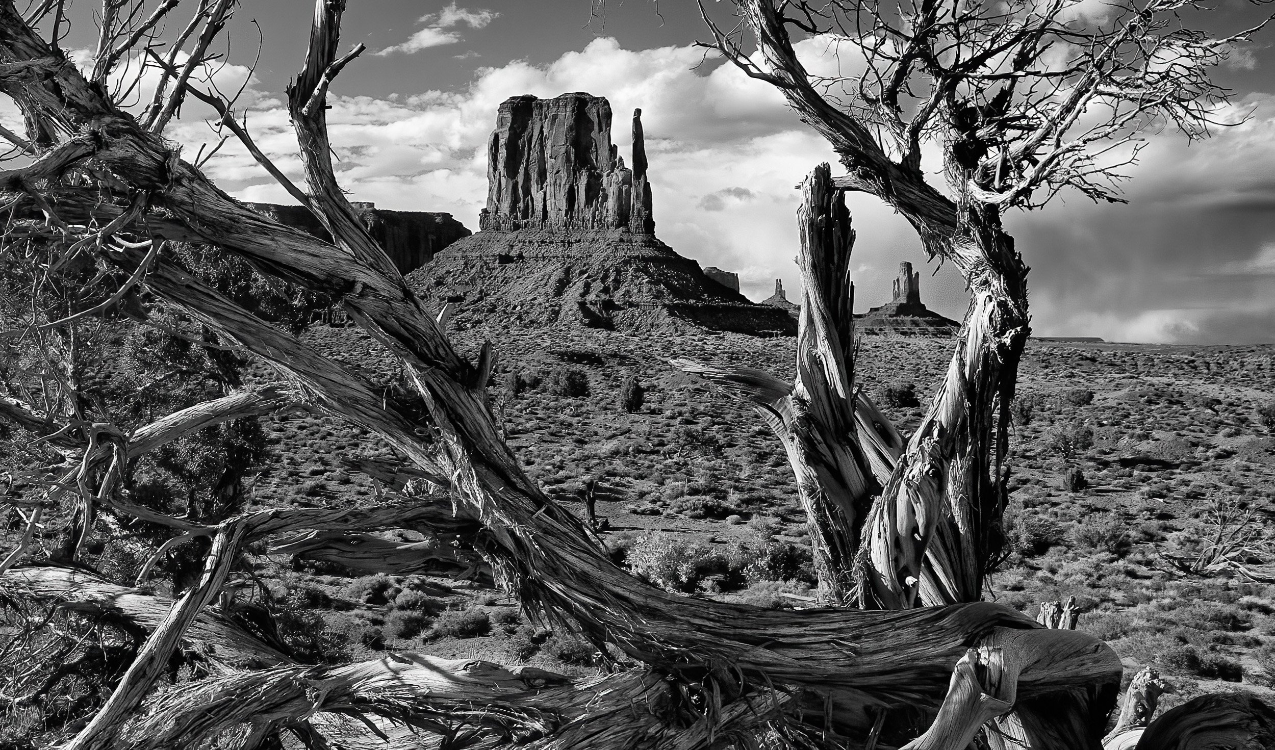 Pinnacles_Framed.jpg