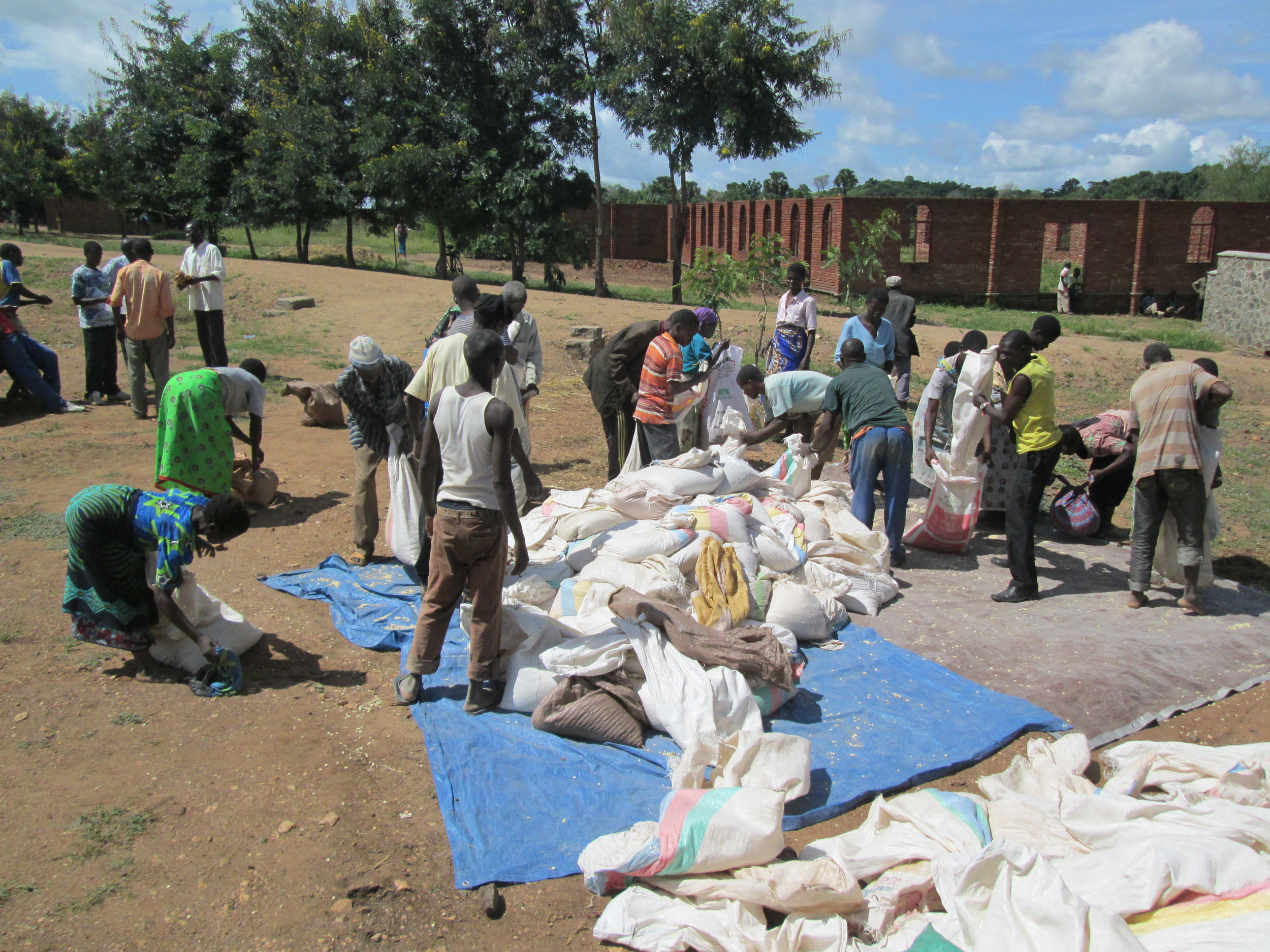 Recipients drop off their empty bag and pick up a bag of corn. Pre-weighing 20 kg of corn into the bags saved considerable time. What an amazing effort from church members and Grace Center staff!