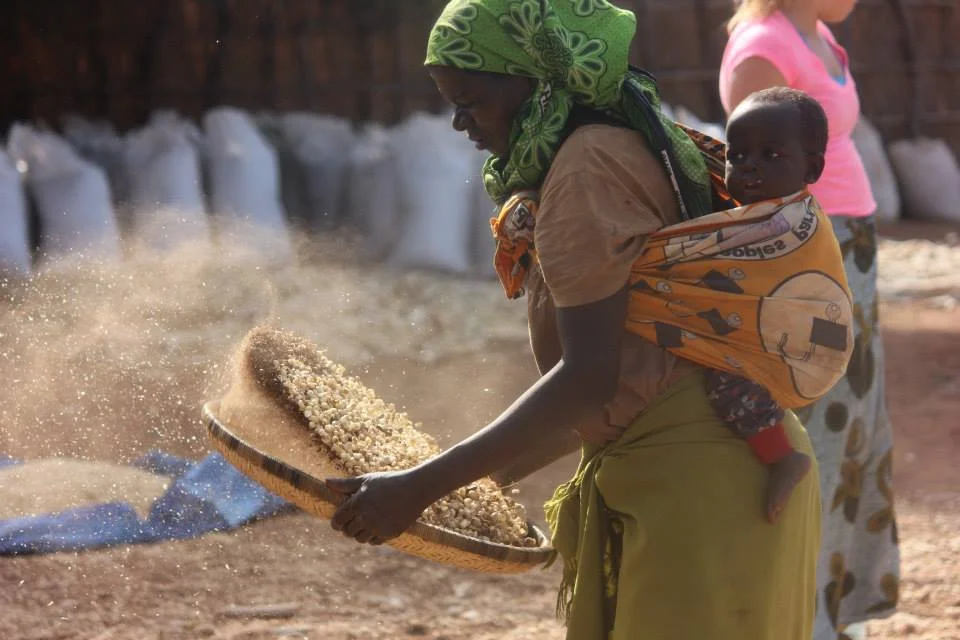 From the Farm to the Table