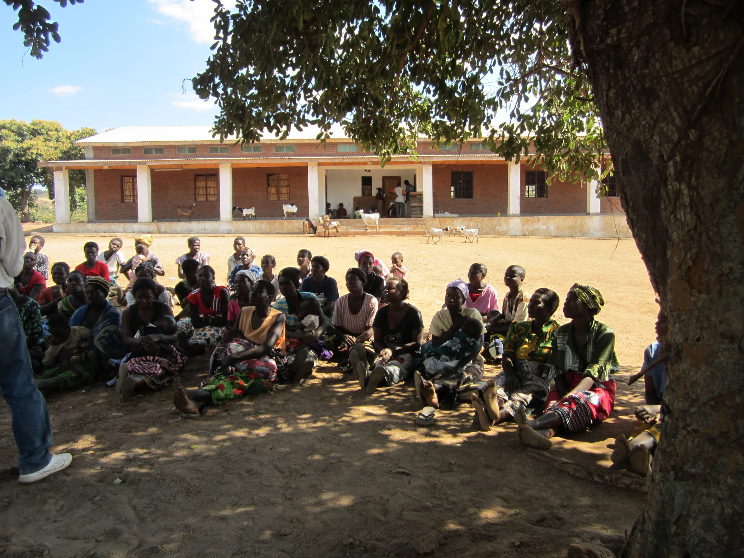 From What-if To What's To Come...The Future Of Our Clinic