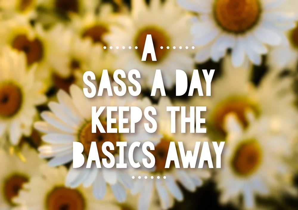 A Sass a Day