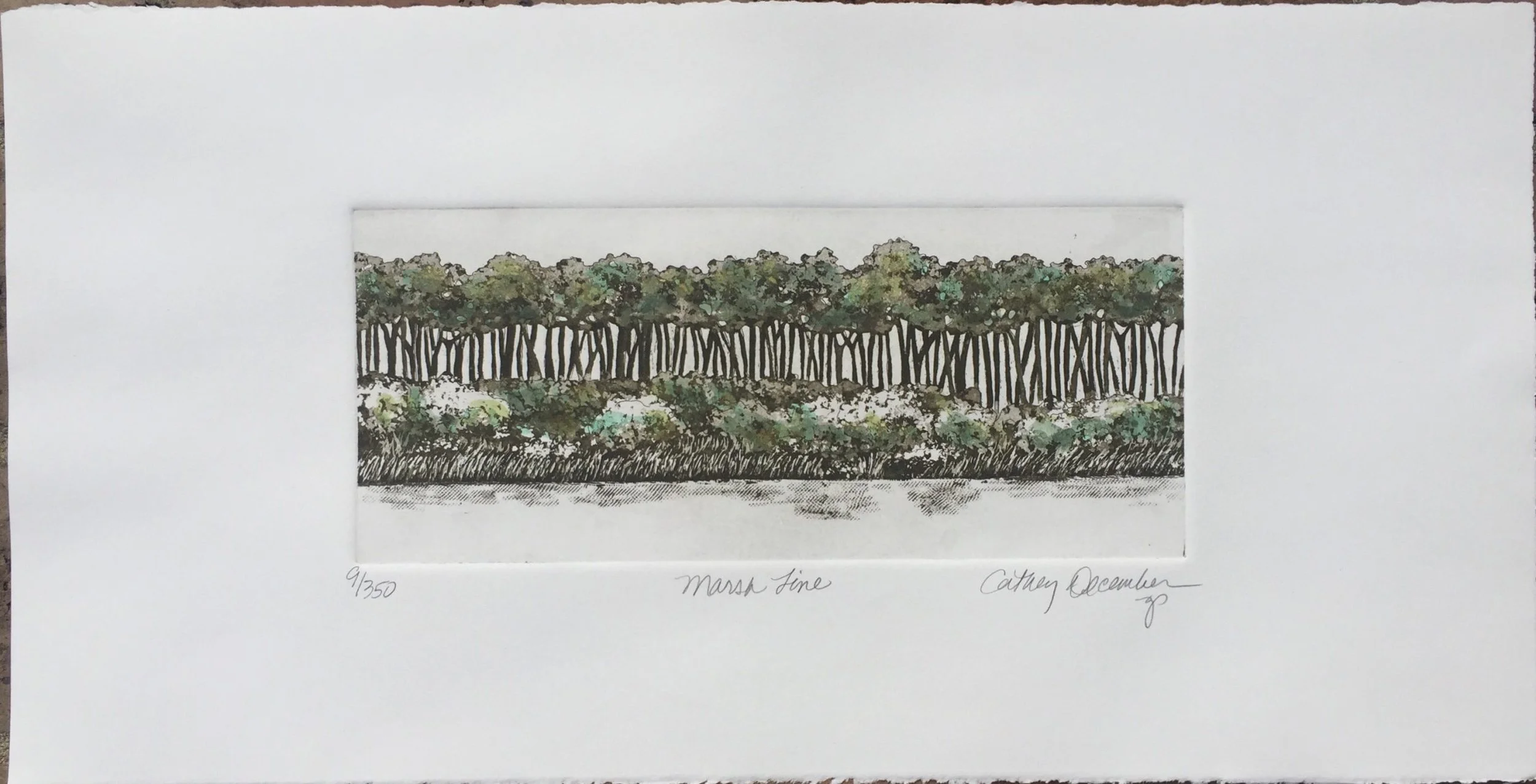 "Marsh Line"