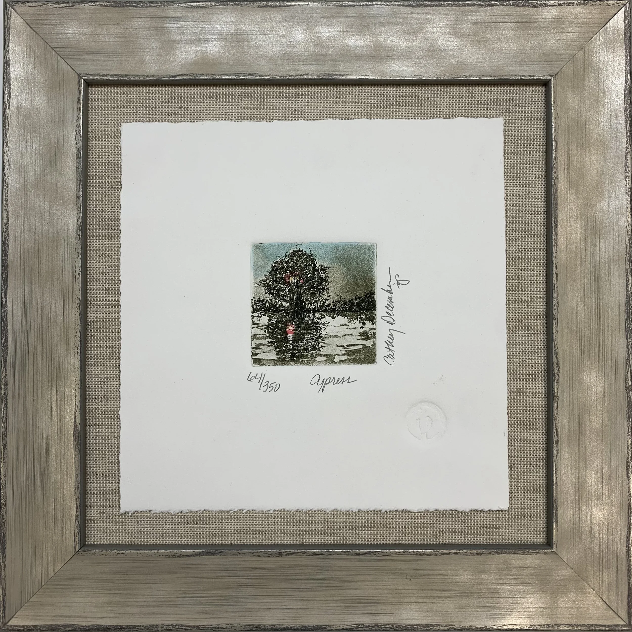 December- cypress.jpg