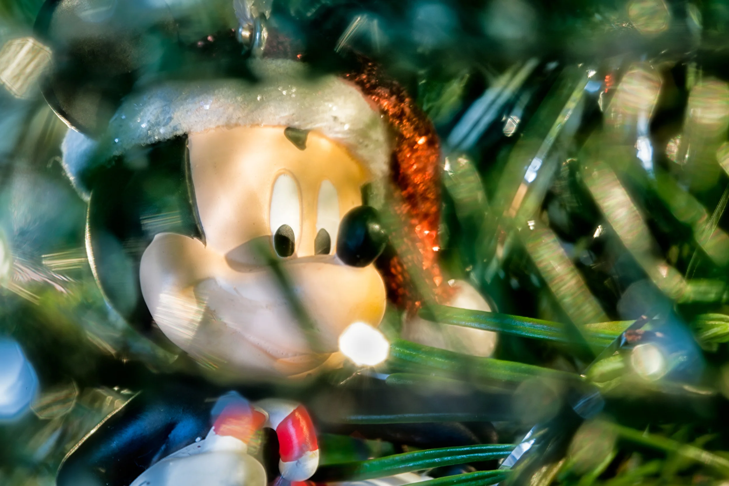 Hidden Mickey