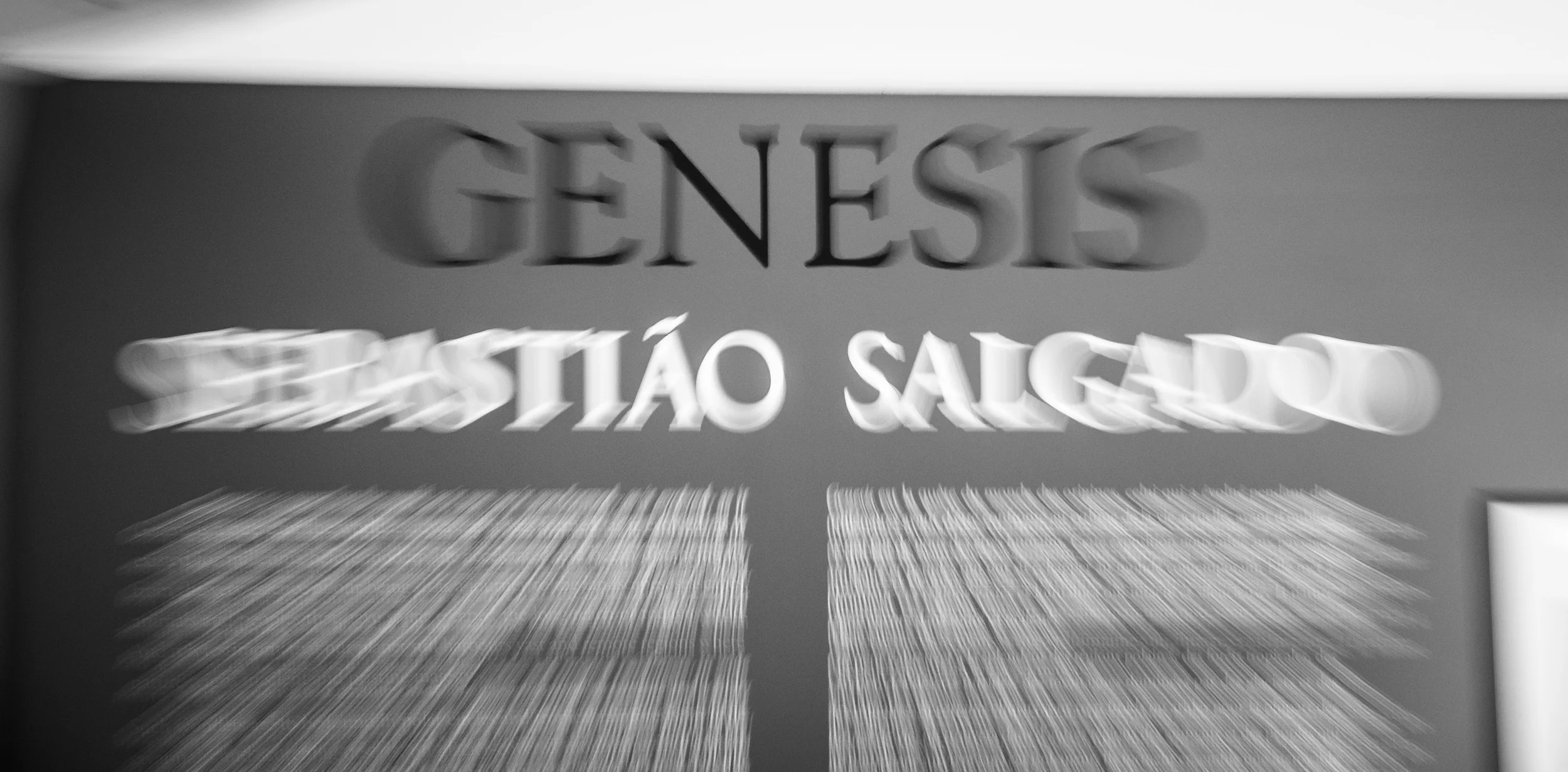 "Genesis" by Sebastiao Salgado