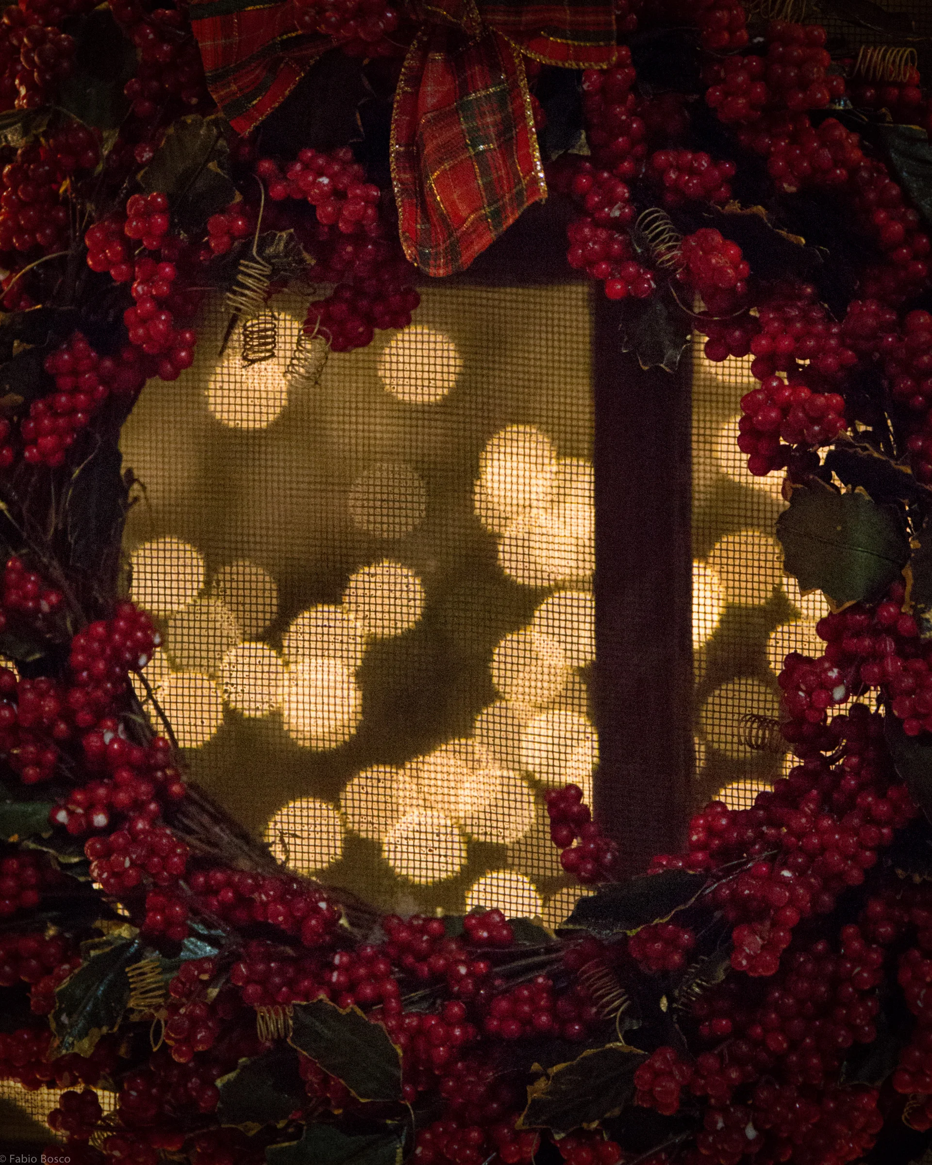 Xmas Lights