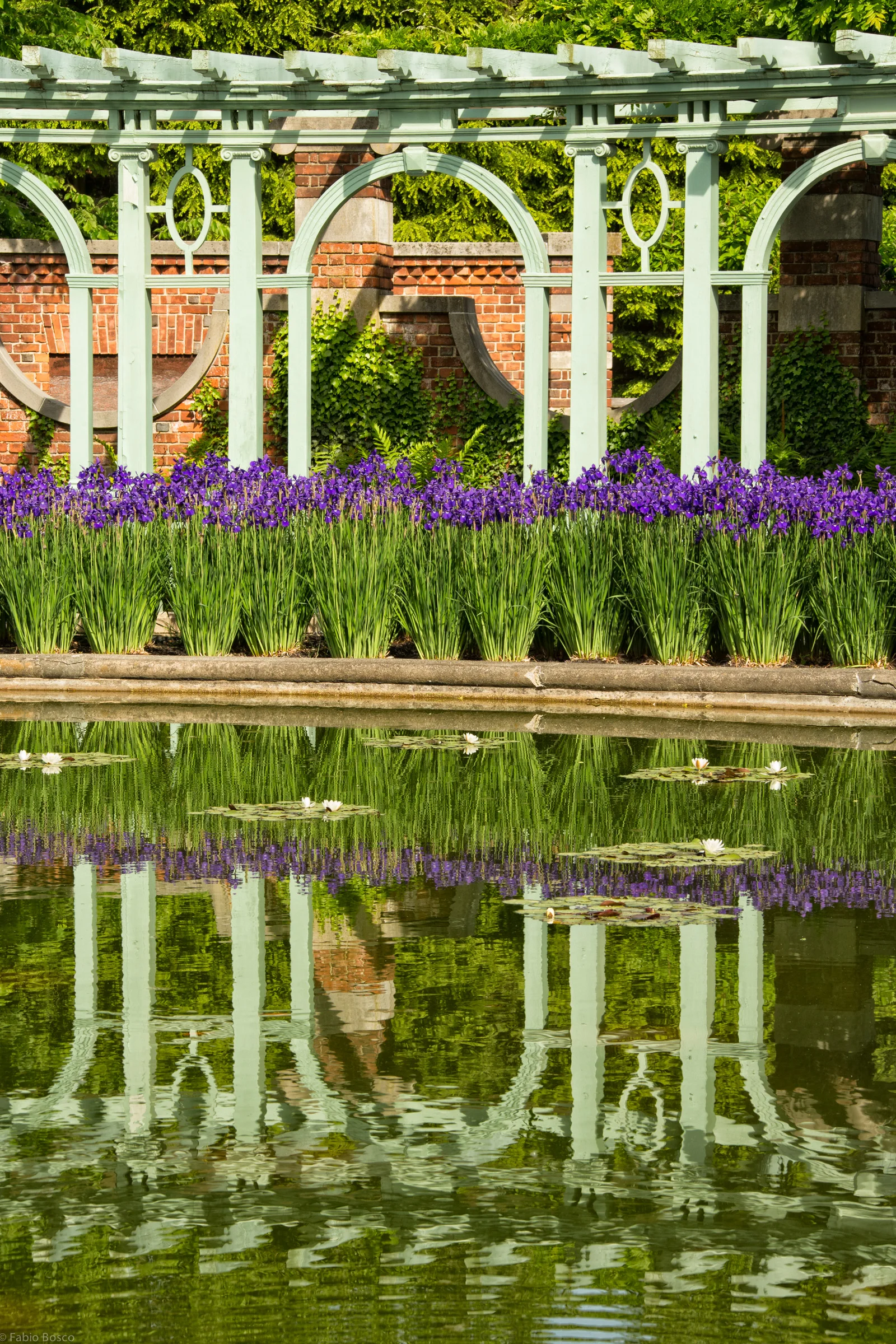 LInes and Reflection