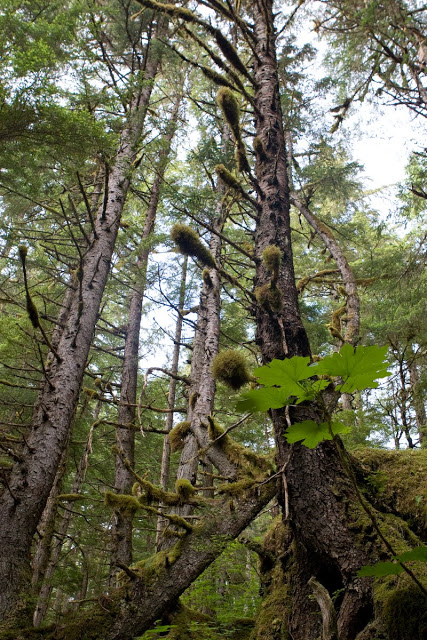 20100708-IMG_1307.jpg