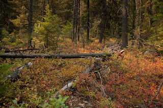 20120916-IMG_1607.jpg