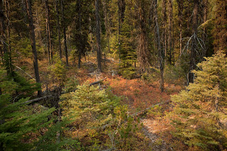 20120916-IMG_1611.jpg