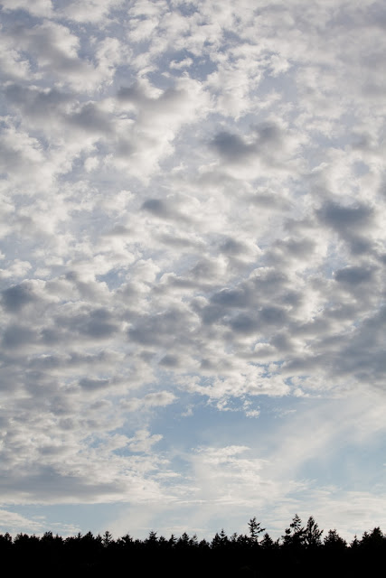 20120629-IMG_8858.jpg