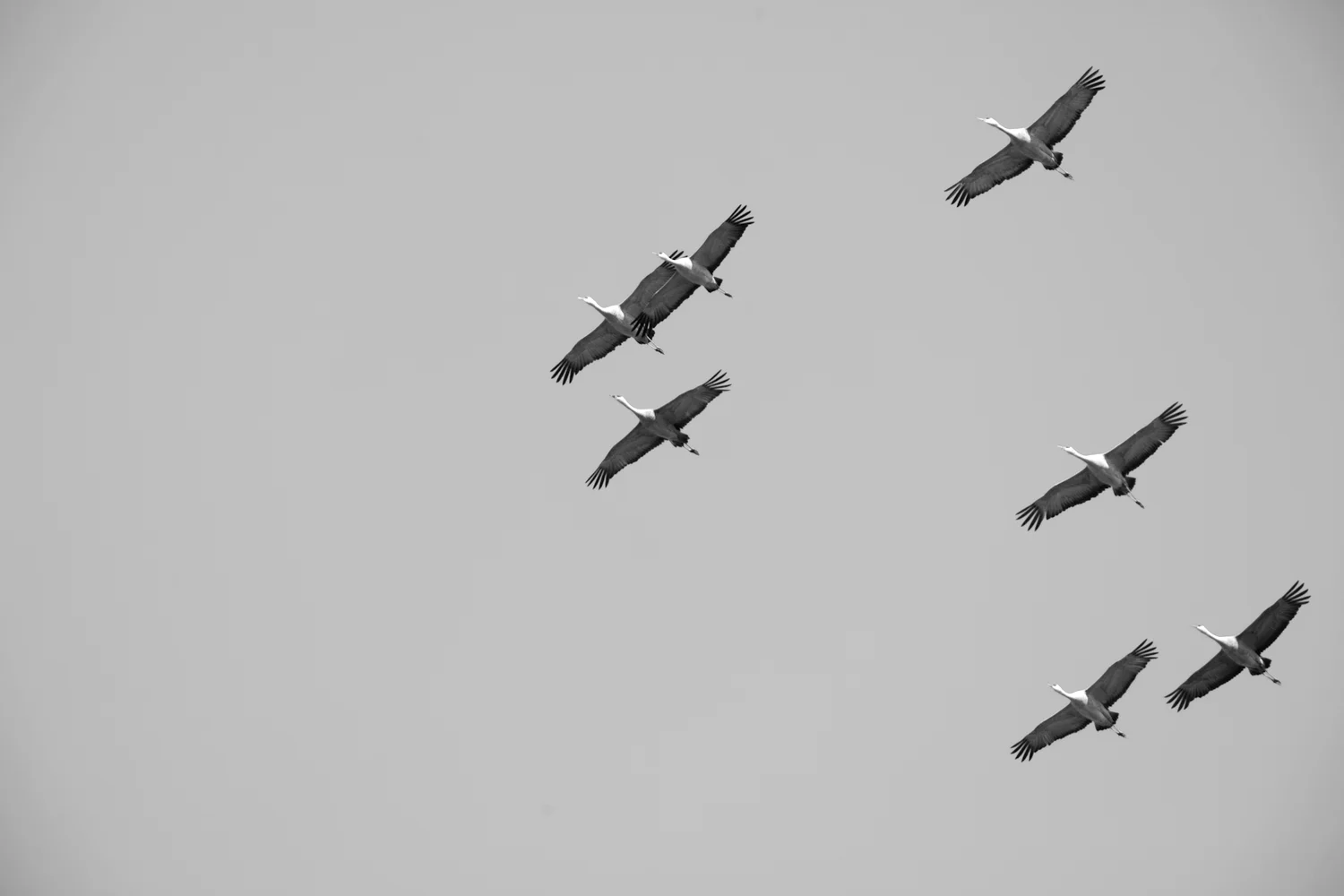 20140406-IMG_6202-7.jpg