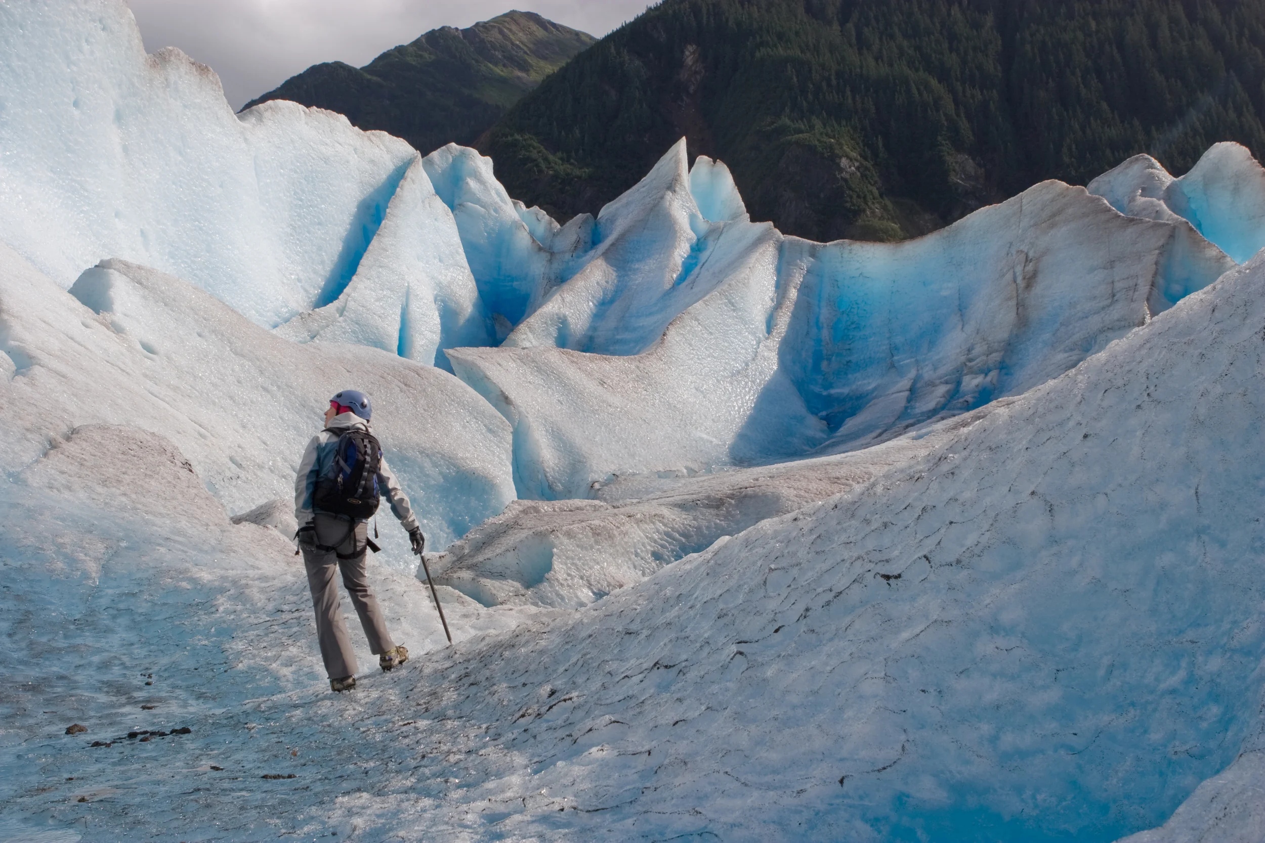 The Mendenhall Glacier. Juneau, Alaska. 