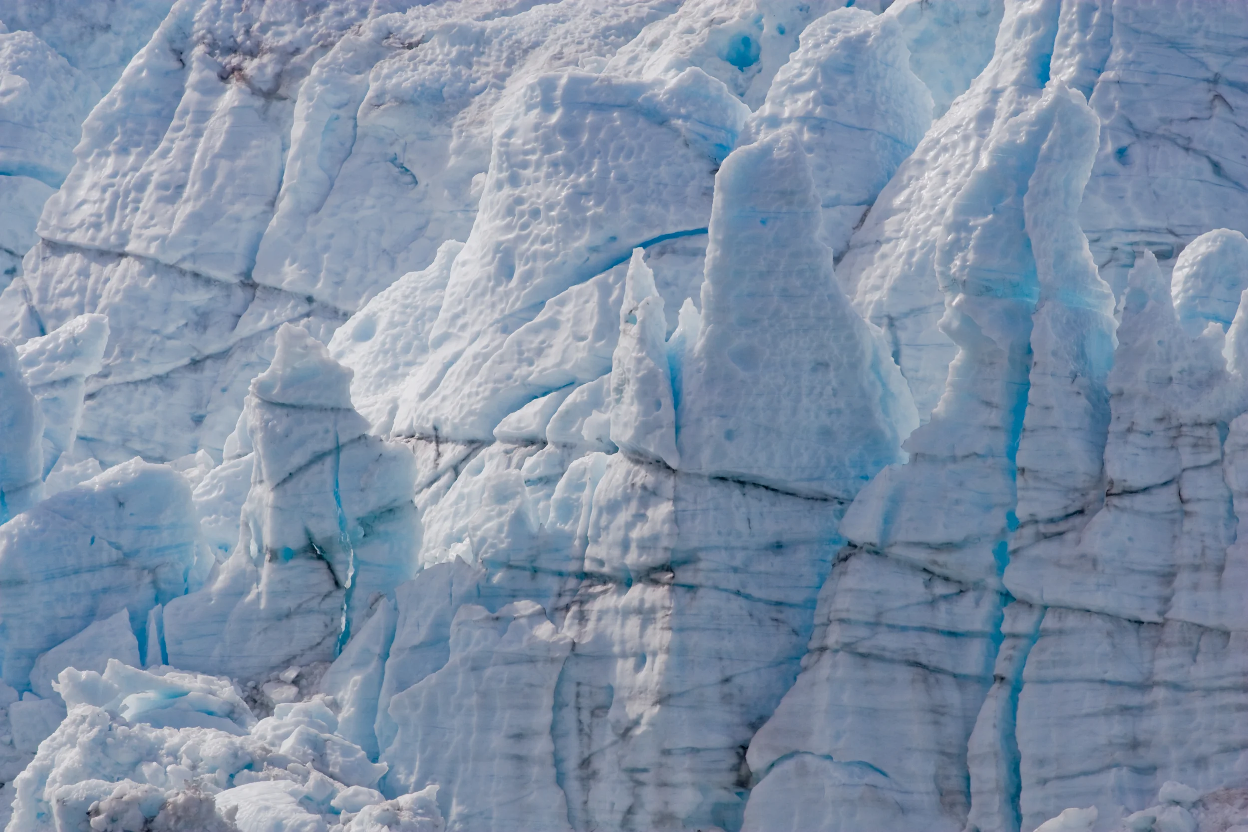 The face of McBride Glacier. Glacier Bay National Park, Alaska. 