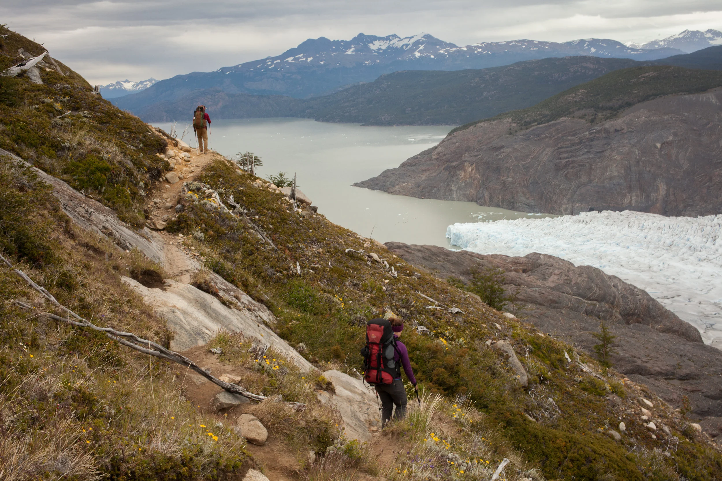 The edge of Grey Glacier opens drops off quickly to Grey Lake. 