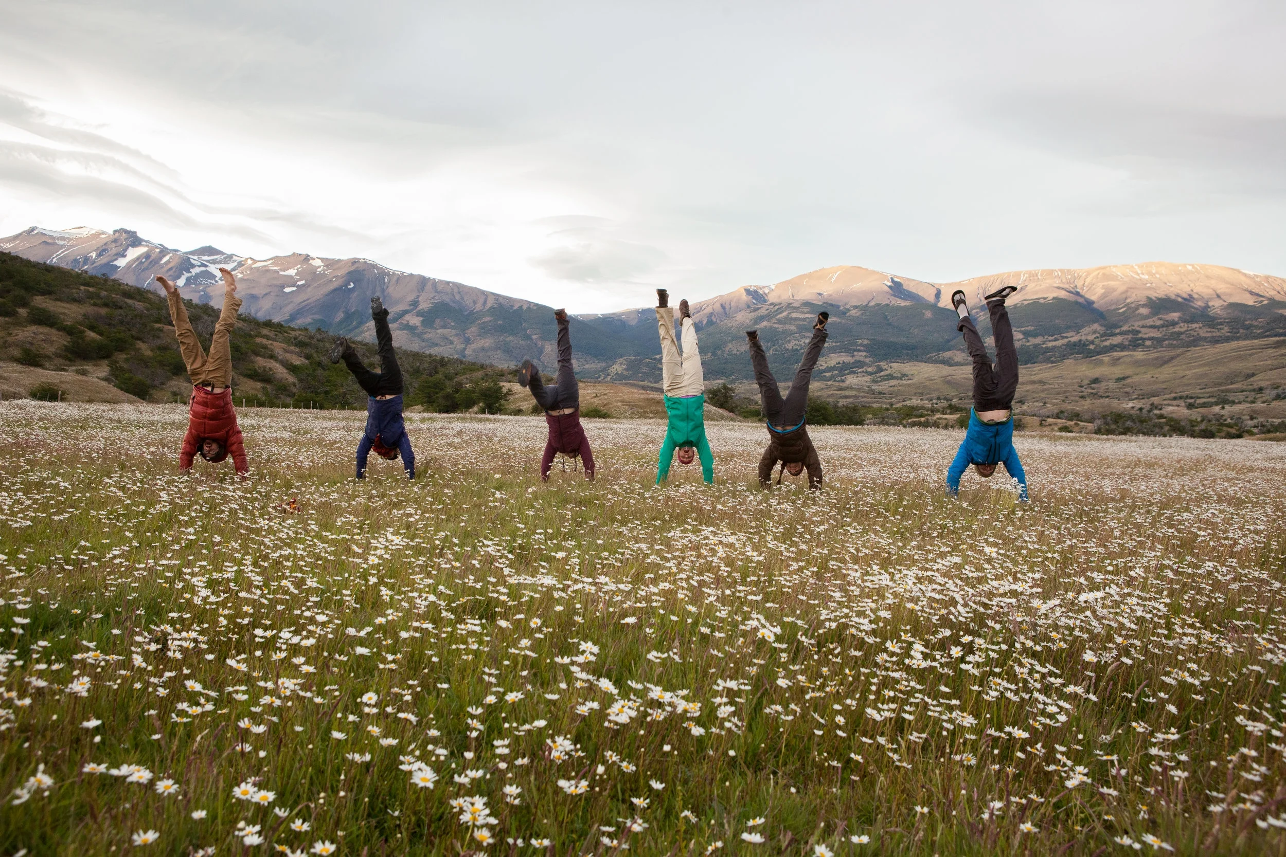 Handstands in daisies in Patagonia. 