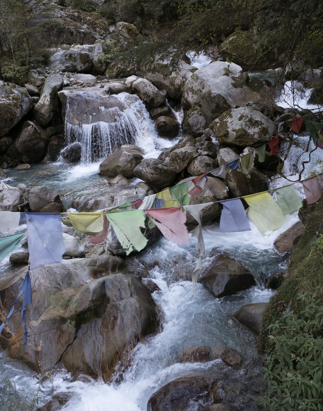 Prayer flags near the Koshi Nadi river. 