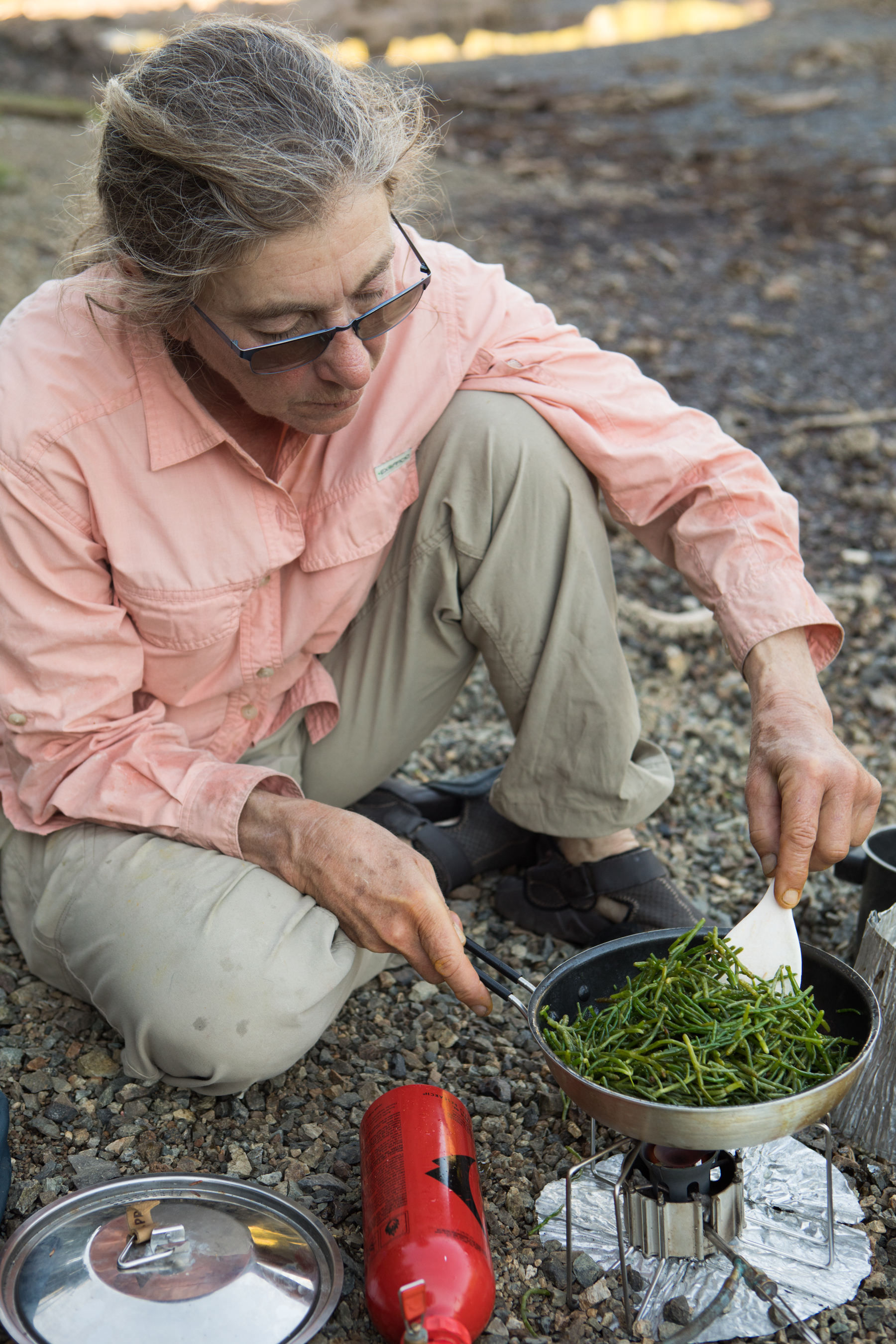 South Prince of Wales Wilderness Part 6 